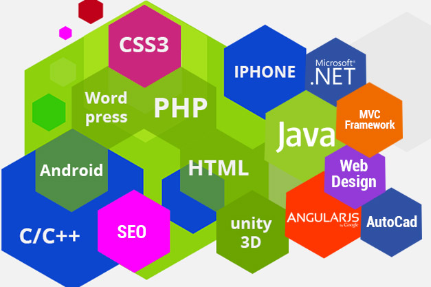 6 Weeks Industrial Training
